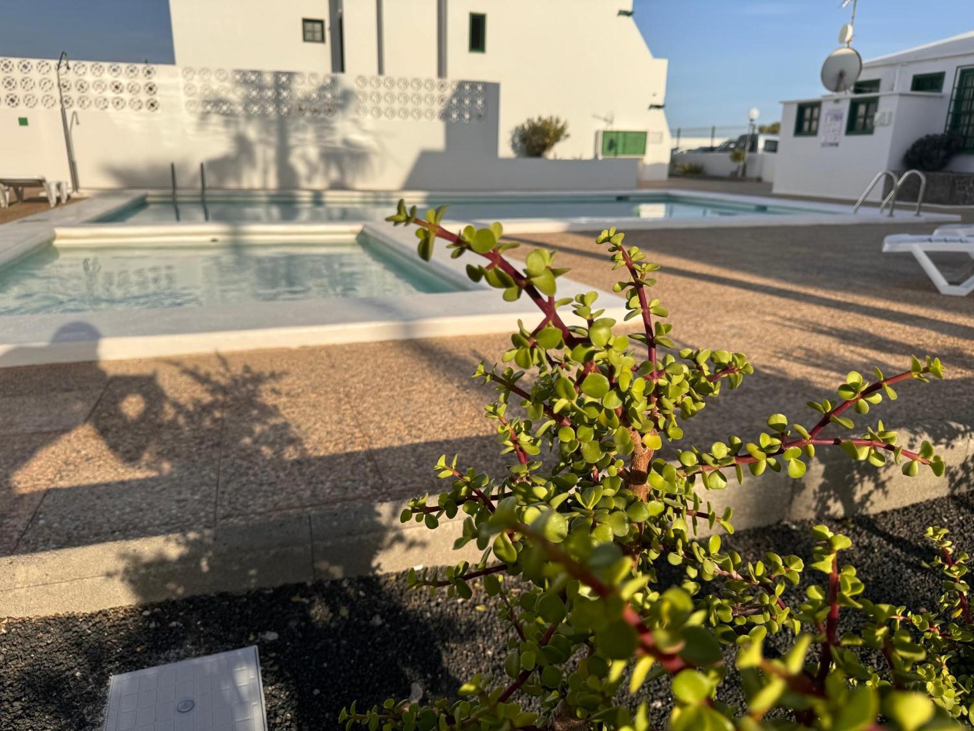 Las Mimosas A Puerto del Carmen (Lanzarote) Kültér fotó