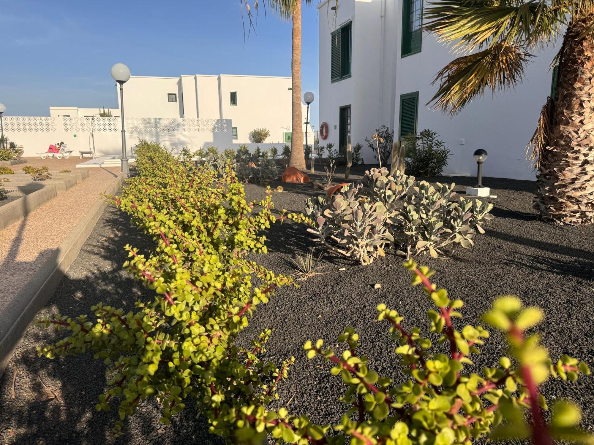 Las Mimosas A Puerto del Carmen (Lanzarote) Kültér fotó